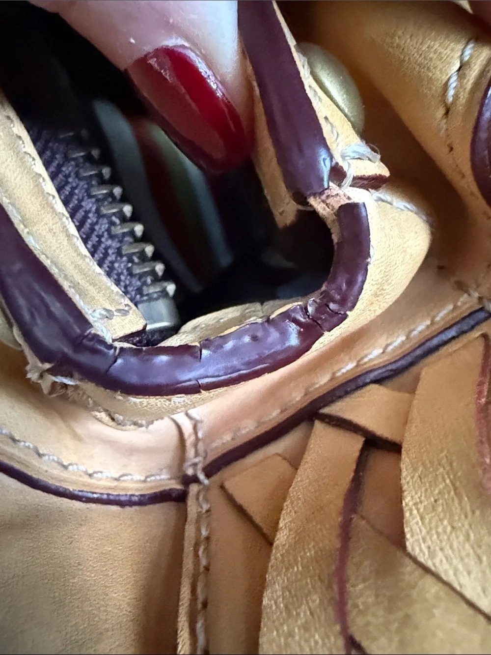 Coach stylish tan